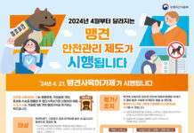 맹견 키우려면 시·도지사 허가 받아야…사육허가제 도입